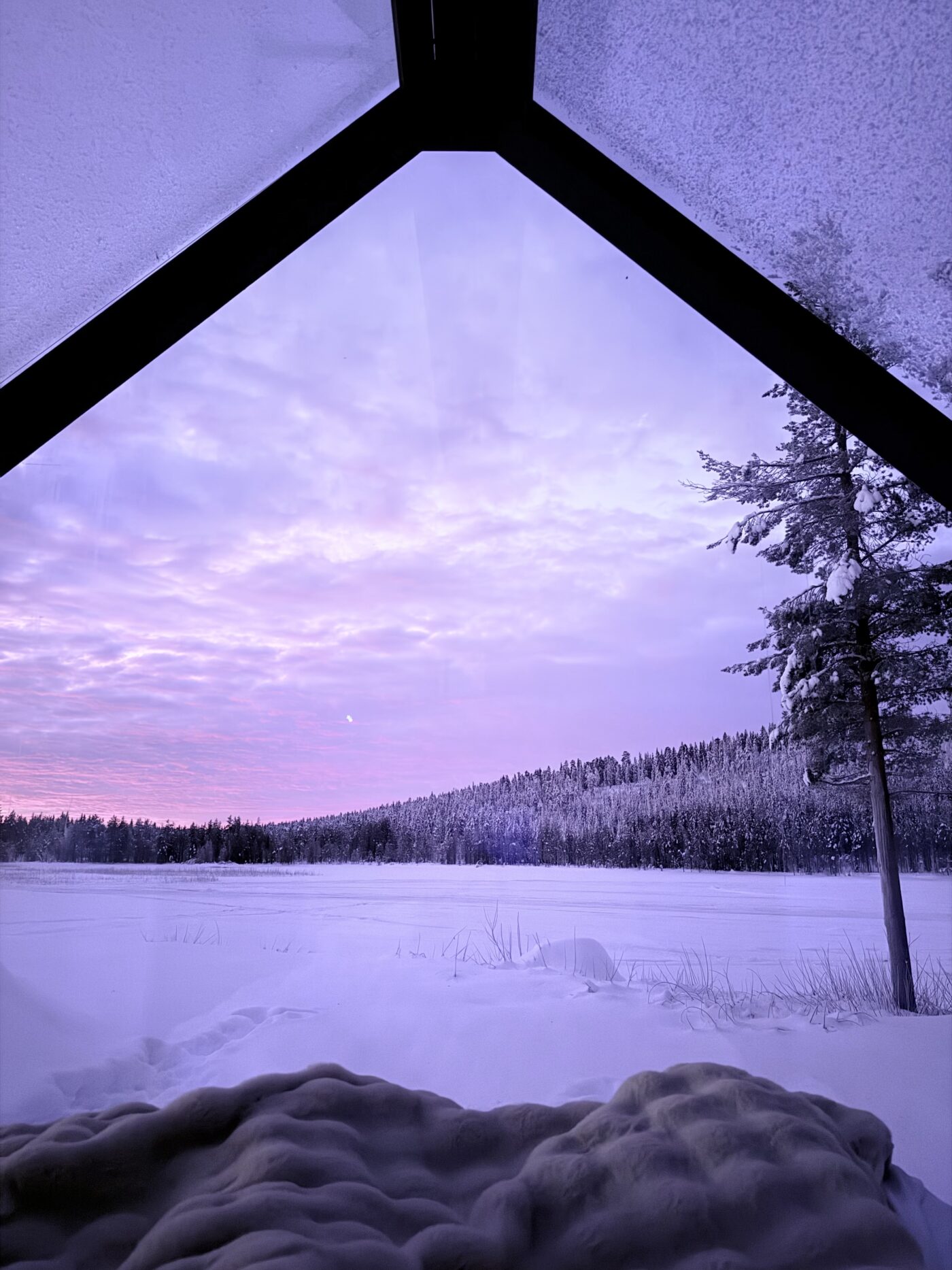 Green and violet Northern Lights reflecting on a luxury mirror-glass cabin in a snowy Swedish Lapland forest.