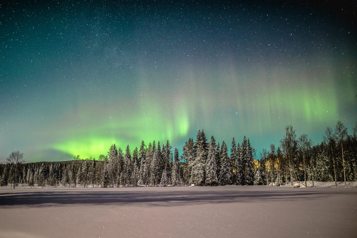 Green and violet Northern Lights reflecting on a luxury mirror-glass cabin in a snowy Swedish Lapland forest.